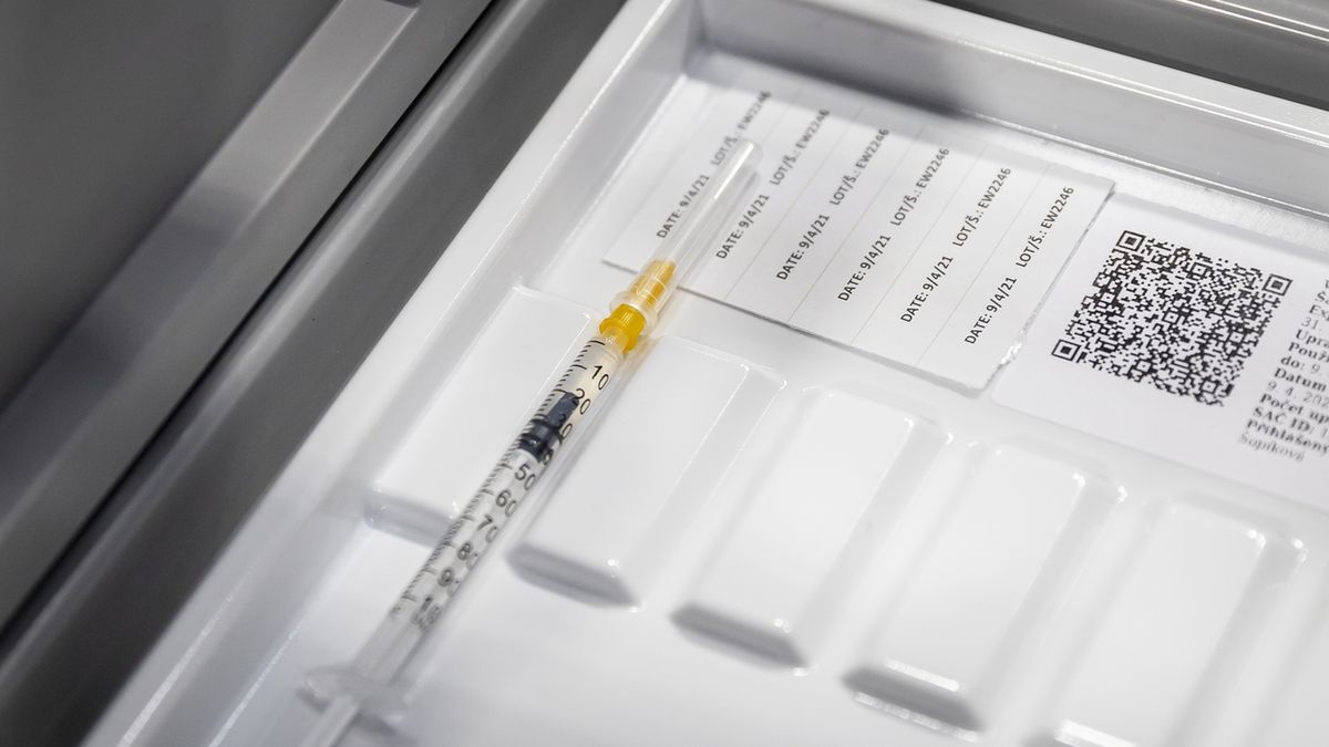 Očkovat zaměstnance chce 80 procent firem, jakmile budou vakcíny